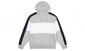 CHAMPION HOODIE COLOR LOGO